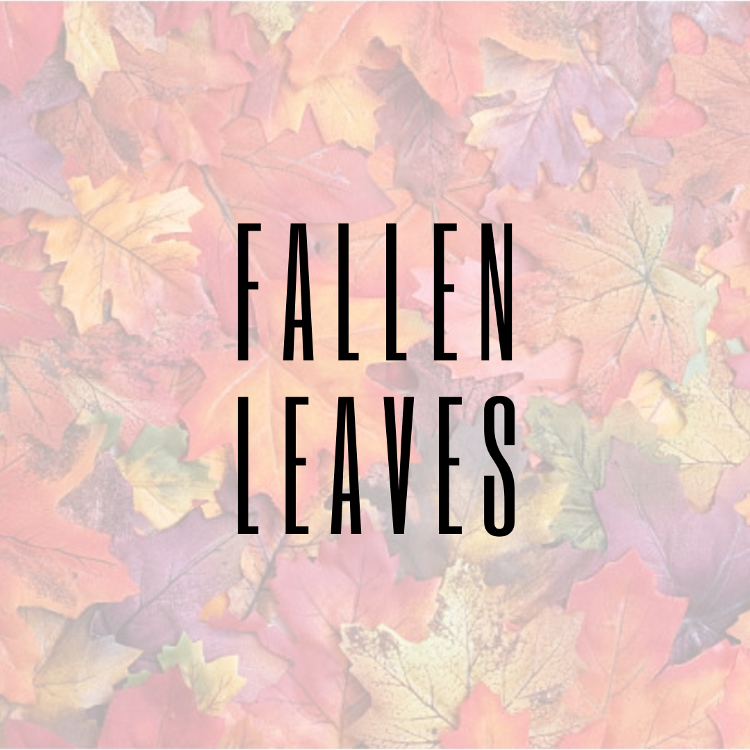 Fallen Leaves